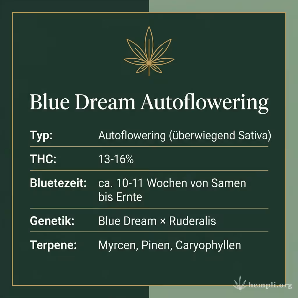 Infografik mit Blue Dream Autoflowering Key Facts: Typ Autoflowering (überwiegend Sativa), THC 13-16%, Bluetezeit ca. 10-11 Wochen von Samen bis Ernte, Genetik Blue Dream × Ruderalis und Terpene Myrcen, Pinen, Caryophyllen