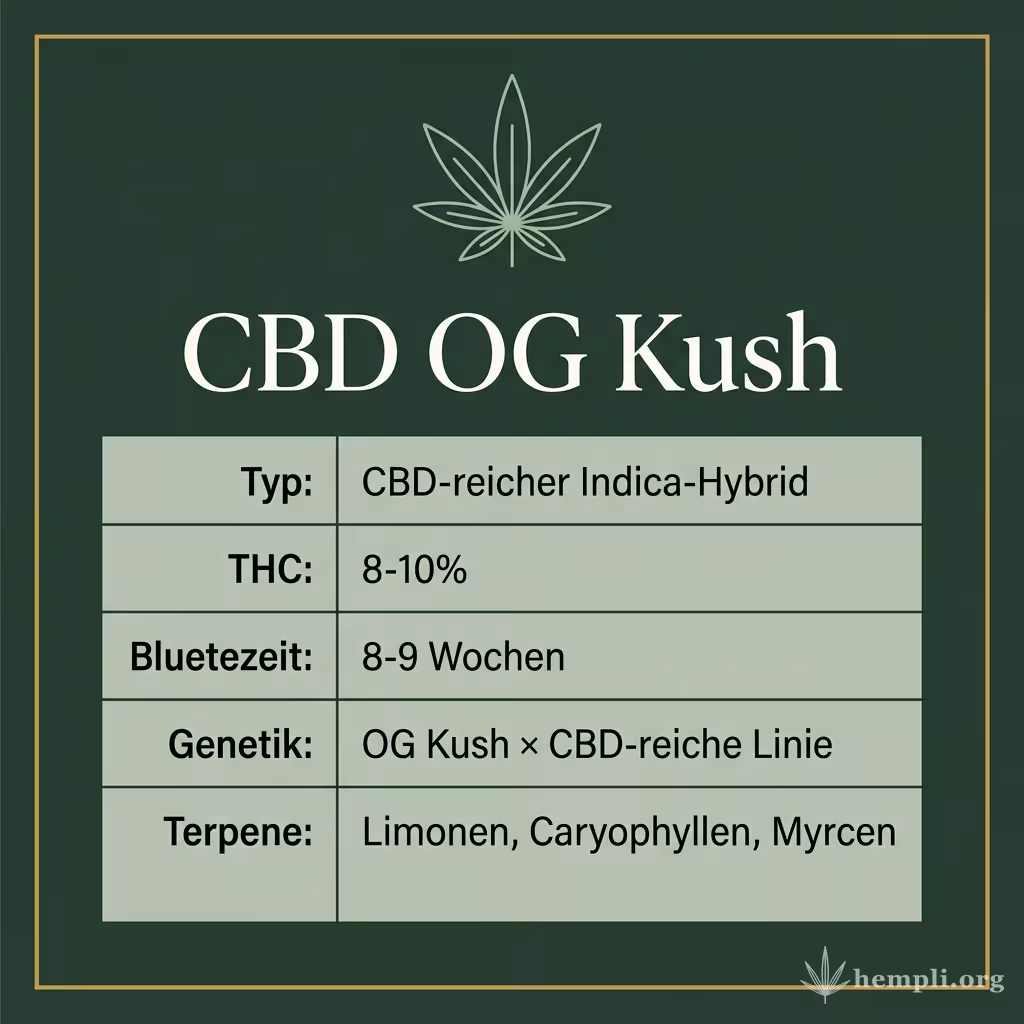 Infografik mit CBD OG Kush Key Facts: Typ CBD-reicher Indica-Hybrid, THC 8-10%, Bluetezeit 8-9 Wochen, Genetik OG Kush × CBD-reiche Linie und Terpene Limonen, Caryophyllen, Myrcen