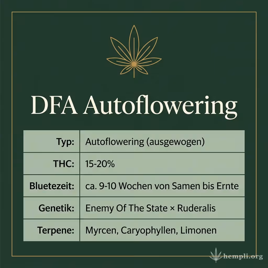 Infografik mit DFA Autoflowering Key Facts: Typ Autoflowering (ausgewogen), THC 15-20%, Bluetezeit ca. 9-10 Wochen von Samen bis Ernte, Genetik Enemy Of The State × Ruderalis und Terpene Myrcen, Caryophyllen, Limonen