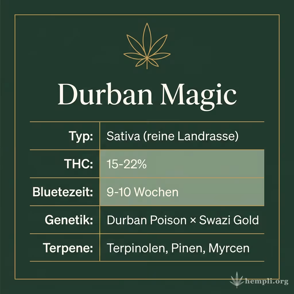 Infografik mit Durban Magic Key Facts: Typ Sativa (reine Landrasse), THC 15-22%, Bluetezeit 9-10 Wochen, Genetik Durban Poison × Swazi Gold und Terpene Terpinolen, Pinen, Myrcen