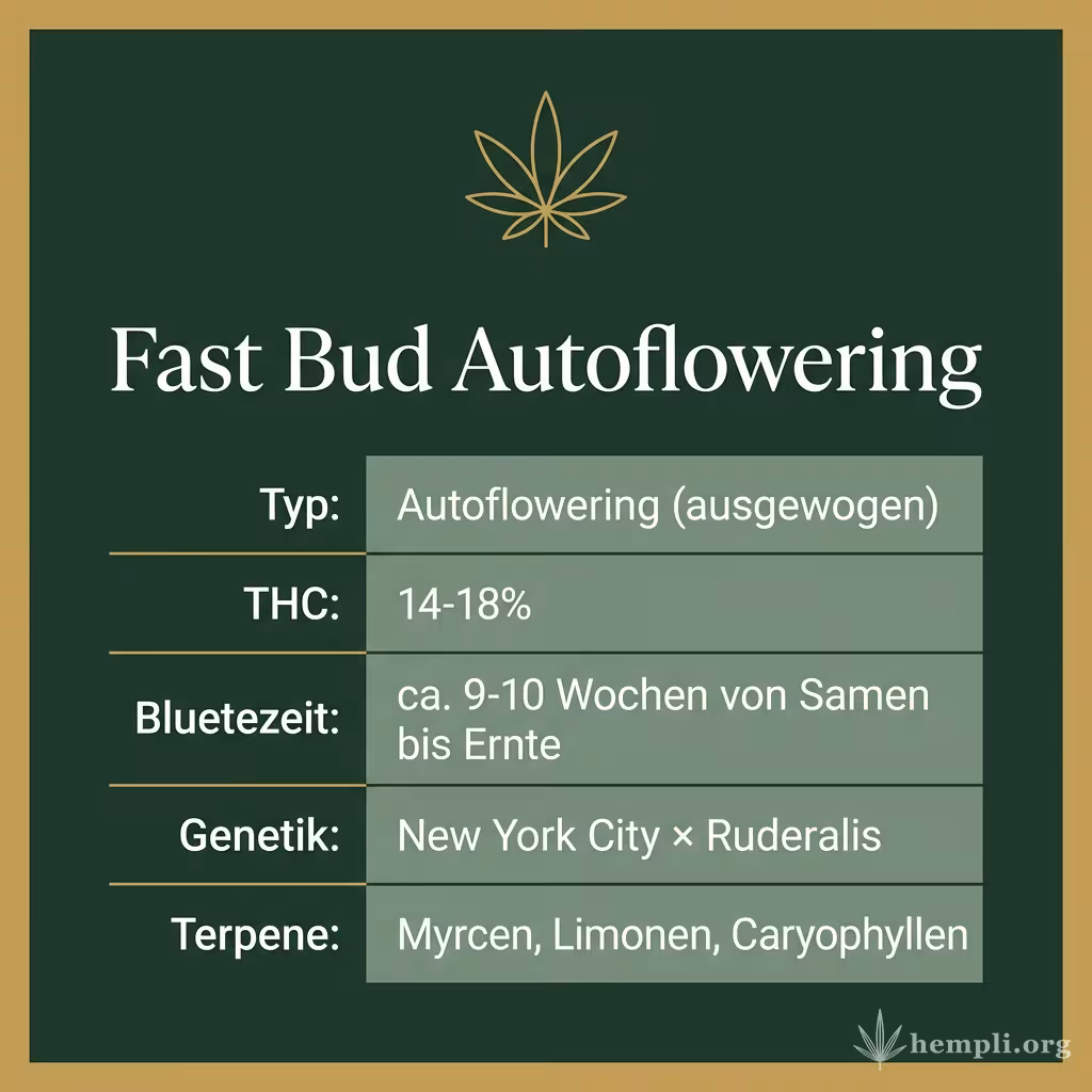 Infografik mit Fast Bud Autoflowering Key Facts: Typ Autoflowering (ausgewogen), THC 14-18%, Bluetezeit ca. 9-10 Wochen von Samen bis Ernte, Genetik New York City × Ruderalis und Terpene Myrcen, Limonen, Caryophyllen