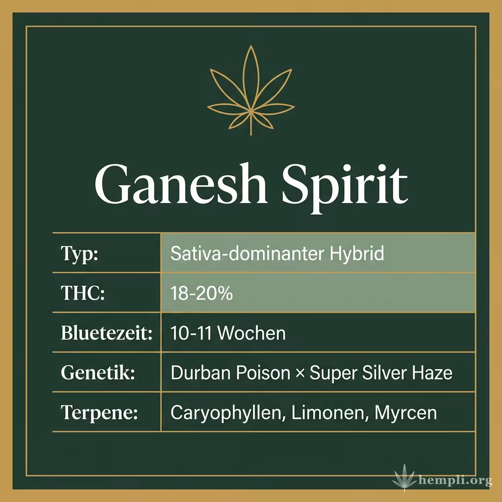 Infografik mit Ganesh Spirit Key Facts: Typ Sativa-dominanter Hybrid, THC 18-20%, Bluetezeit 10-11 Wochen, Genetik Durban Poison × Super Silver Haze und Terpene Caryophyllen, Limonen, Myrcen