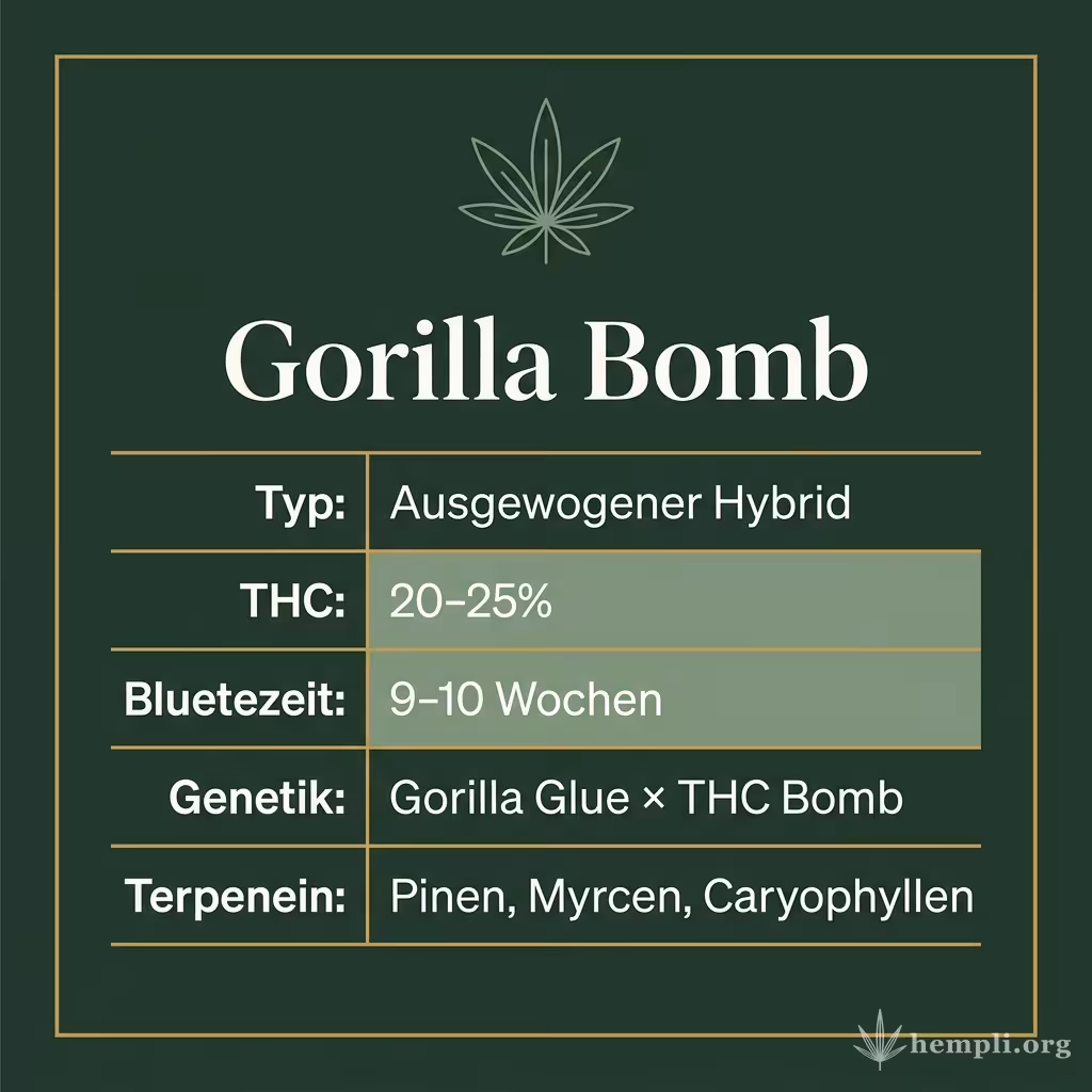 Infografik mit Gorilla Bomb Key Facts: Typ Ausgewogener Hybrid, THC 20-25%, Bluetezeit 9-10 Wochen, Genetik Gorilla Glue × THC Bomb und Terpene Pinen, Myrcen, Caryophyllen