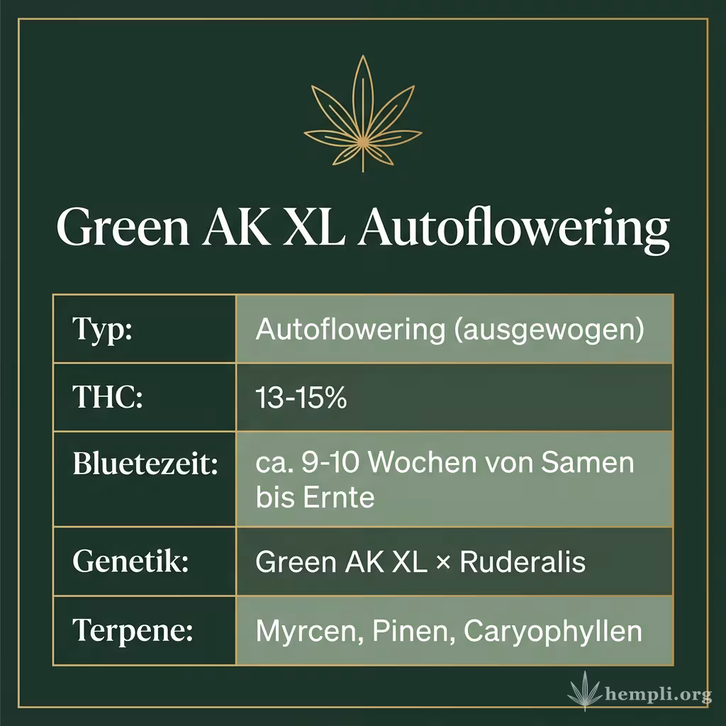 Infografik mit Green AK XL Autoflowering Key Facts: Typ Autoflowering (ausgewogen), THC 13-15%, Bluetezeit ca. 9-10 Wochen von Samen bis Ernte, Genetik Green AK XL × Ruderalis und Terpene Myrcen, Pinen, Caryophyllen