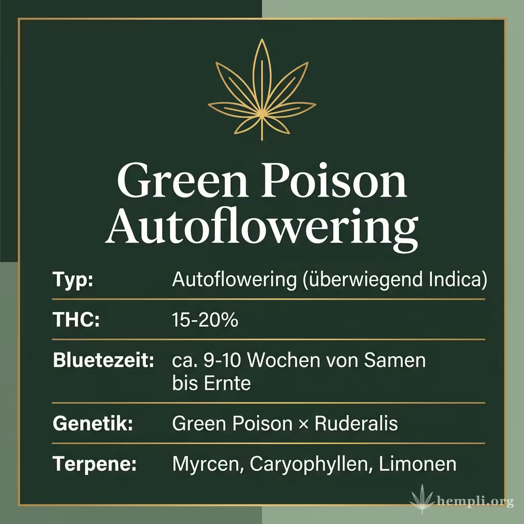 Infografik mit Green Poison Autoflowering Key Facts: Typ Autoflowering (überwiegend Indica), THC 15-20%, Bluetezeit ca. 9-10 Wochen von Samen bis Ernte, Genetik Green Poison × Ruderalis und Terpene Myrcen, Caryophyllen, Limonen