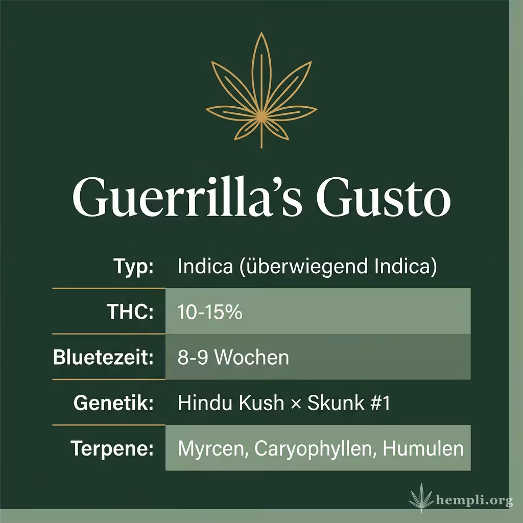 Infografik mit Guerrilla's Gusto Key Facts: Typ Indica (überwiegend Indica), THC 10-15%, Bluetezeit 8-9 Wochen, Genetik Hindu Kush × Skunk #1 und Terpene Myrcen, Caryophyllen, Humulen
