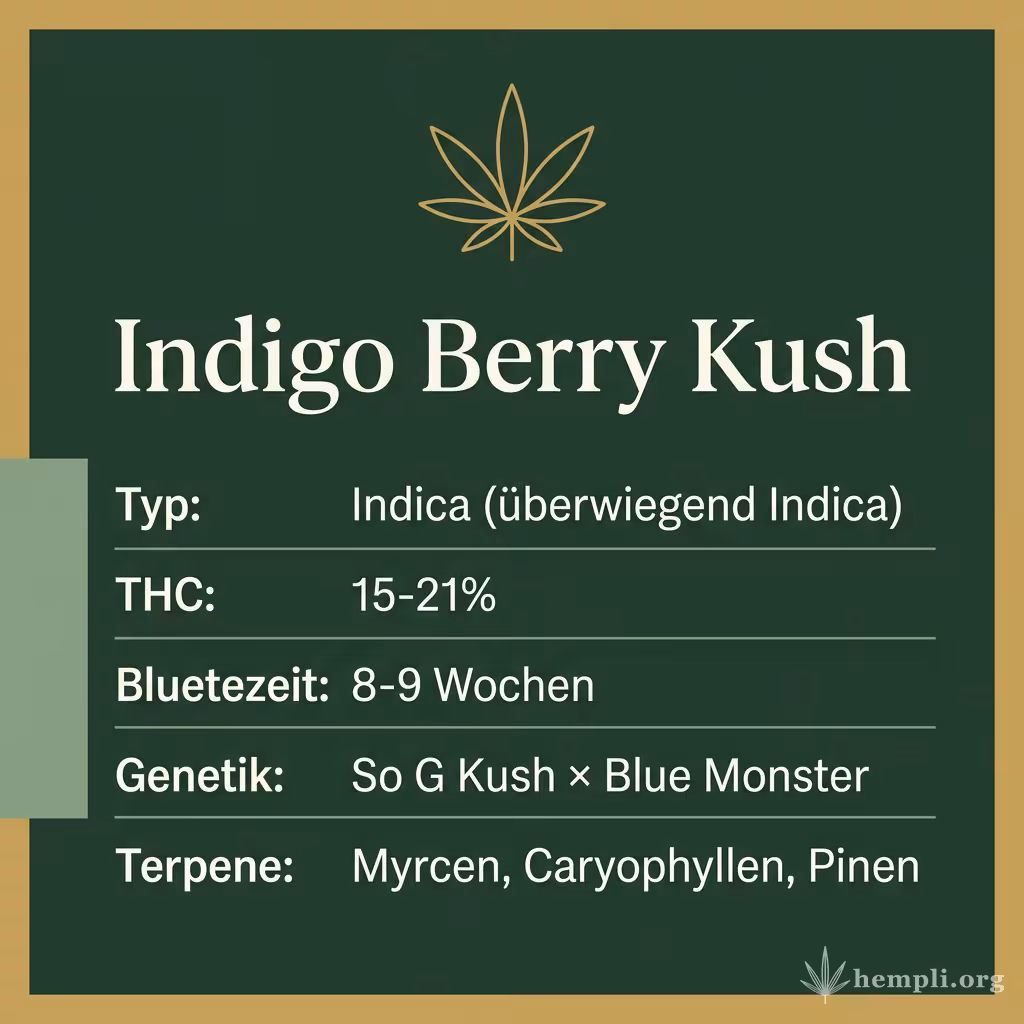 Infografik mit Indigo Berry Kush Key Facts: Typ Indica (überwiegend Indica), THC 15-21%, Bluetezeit 8-9 Wochen, Genetik So G Kush × Blue Monster und Terpene Myrcen, Caryophyllen, Pinen
