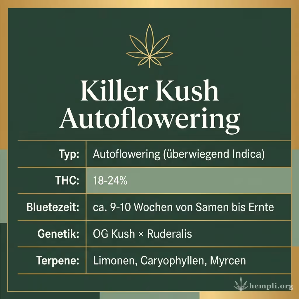 Infografik mit Killer Kush Autoflowering Key Facts: Typ Autoflowering (überwiegend Indica), THC 18-24%, Bluetezeit ca. 9-10 Wochen von Samen bis Ernte, Genetik OG Kush × Ruderalis und Terpene Limonen, Caryophyllen, Myrcen