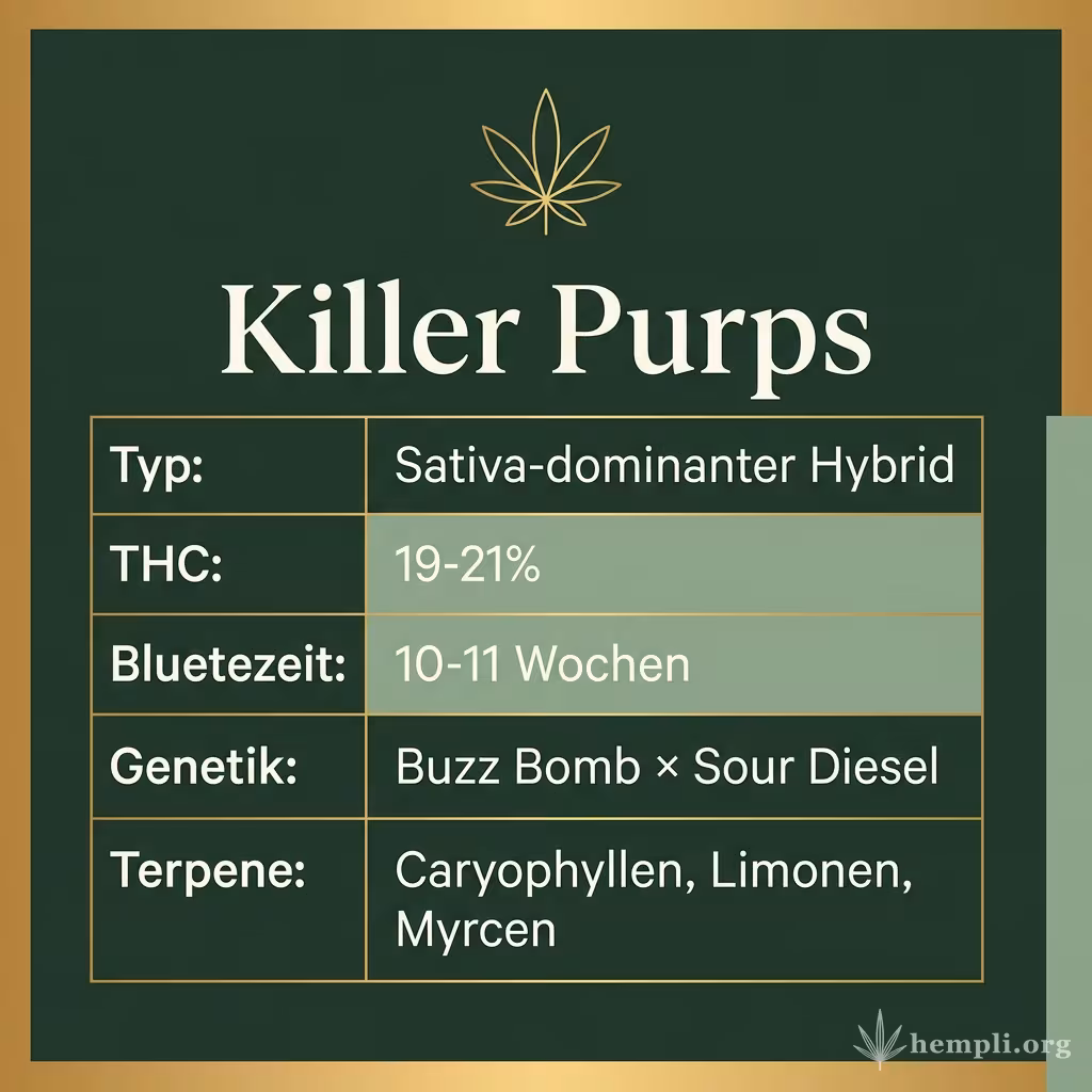 Infografik mit Killer Purps Key Facts: Typ Sativa-dominanter Hybrid, THC 19-21%, Bluetezeit 10-11 Wochen, Genetik Buzz Bomb × Sour Diesel und Terpene Caryophyllen, Limonen, Myrcen
