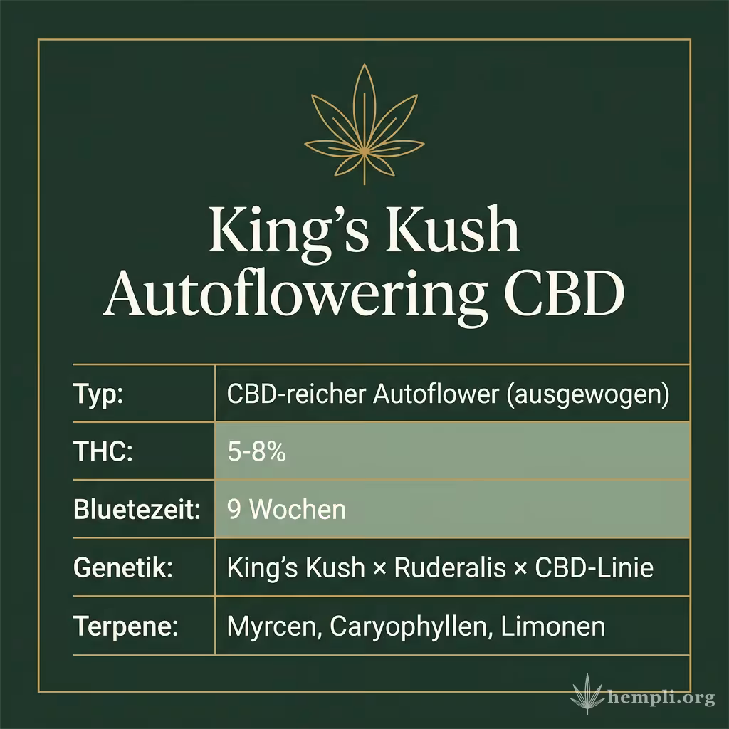 Infografik mit King's Kush Autoflowering CBD Key Facts: Typ CBD-reicher Autoflower (ausgewogen), THC 5-8%, Bluetezeit 9 Wochen, Genetik King's Kush × Ruderalis × CBD-Linie und Terpene Myrcen, Caryophyllen, Limonen