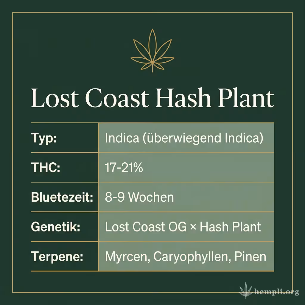 Infografik mit Lost Coast Hash Plant Key Facts: Typ Indica (überwiegend Indica), THC 17-21%, Bluetezeit 8-9 Wochen, Genetik Lost Coast OG × Hash Plant und Terpene Myrcen, Caryophyllen, Pinen