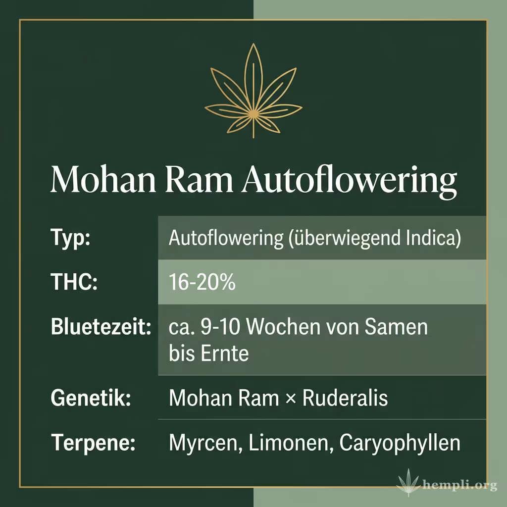 Infografik mit Mohan Ram Autoflowering Key Facts: Typ Autoflowering (überwiegend Indica), THC 16-20%, Bluetezeit ca. 9-10 Wochen von Samen bis Ernte, Genetik Mohan Ram × Ruderalis und Terpene Myrcen, Limonen, Caryophyllen