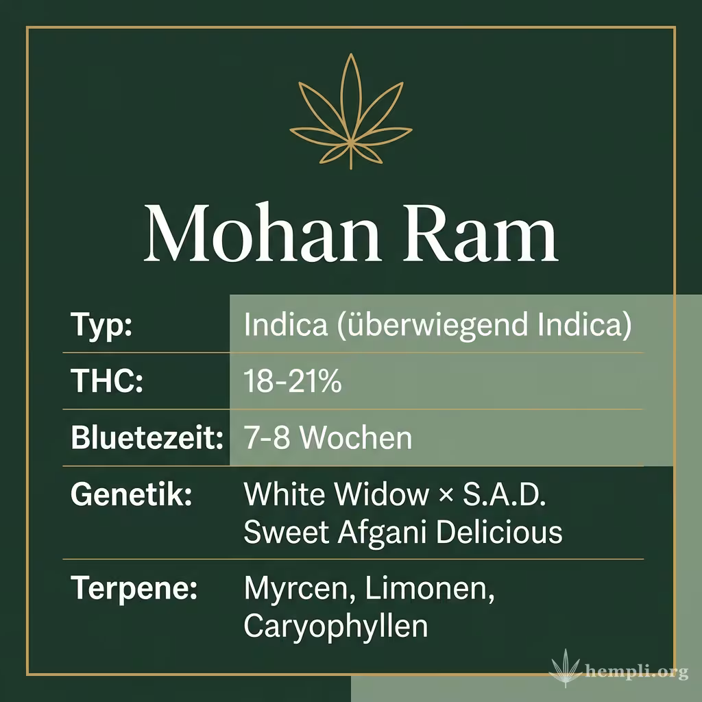 Infografik mit Mohan Ram Key Facts: Typ Indica (überwiegend Indica), THC 18-21%, Bluetezeit 7-8 Wochen, Genetik White Widow × S.A.D. Sweet Afgani Delicious und Terpene Myrcen, Limonen, Caryophyllen