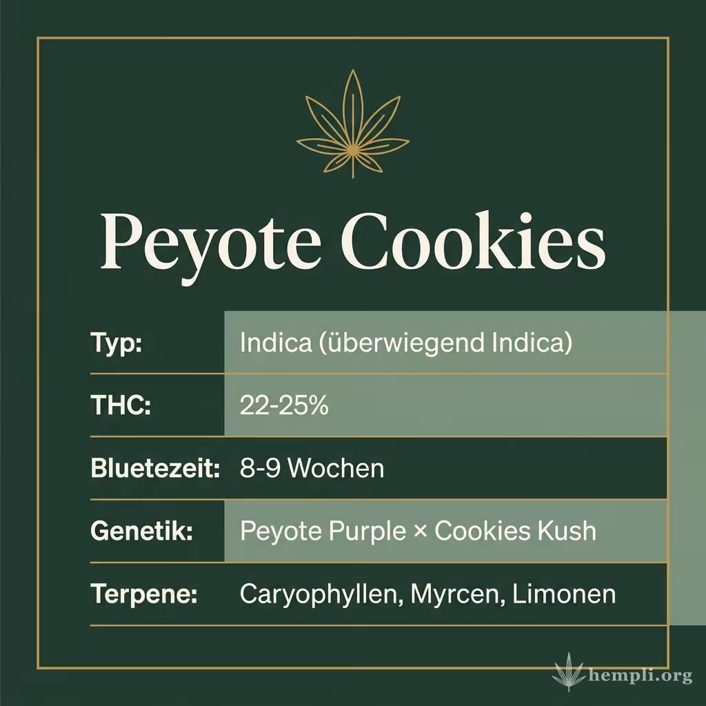 Infografik mit Peyote Cookies Key Facts: Typ Indica (überwiegend Indica), THC 22-25%, Bluetezeit 8-9 Wochen, Genetik Peyote Purple × Cookies Kush und Terpene Caryophyllen, Myrcen, Limonen