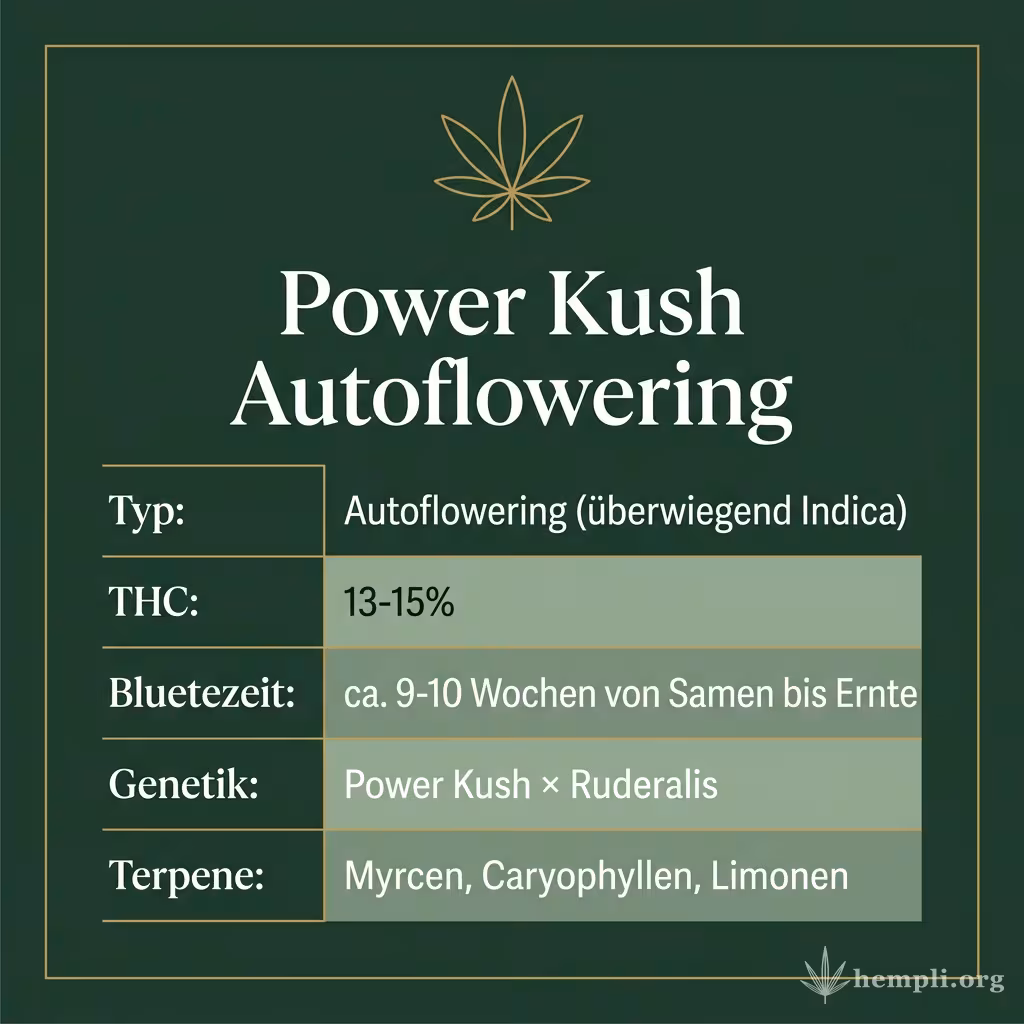 Infografik mit Power Kush Autoflowering Key Facts: Typ Autoflowering (überwiegend Indica), THC 13-15%, Bluetezeit ca. 9-10 Wochen von Samen bis Ernte, Genetik Power Kush × Ruderalis und Terpene Myrcen, Caryophyllen, Limonen