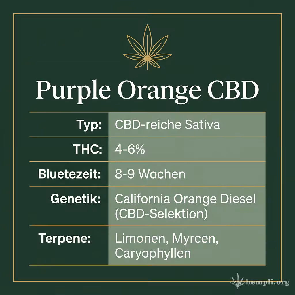Infografik mit Purple Orange CBD Key Facts: Typ CBD-reiche Sativa, THC 4-6%, Bluetezeit 8-9 Wochen, Genetik California Orange Diesel (CBD-Selektion) und Terpene Limonen, Myrcen, Caryophyllen