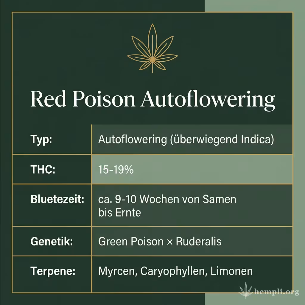 Infografik mit Red Poison Autoflowering Key Facts: Typ Autoflowering (überwiegend Indica), THC 15-19%, Bluetezeit ca. 9-10 Wochen von Samen bis Ernte, Genetik Green Poison × Ruderalis und Terpene Myrcen, Caryophyllen, Limonen