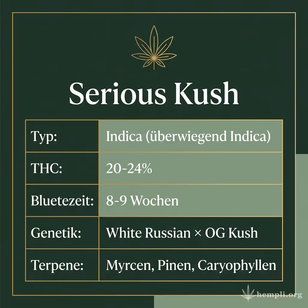Infografik mit Serious Kush Key Facts: Typ Indica (überwiegend Indica), THC 20-24%, Bluetezeit 8-9 Wochen, Genetik White Russian × OG Kush und Terpene Myrcen, Pinen, Caryophyllen