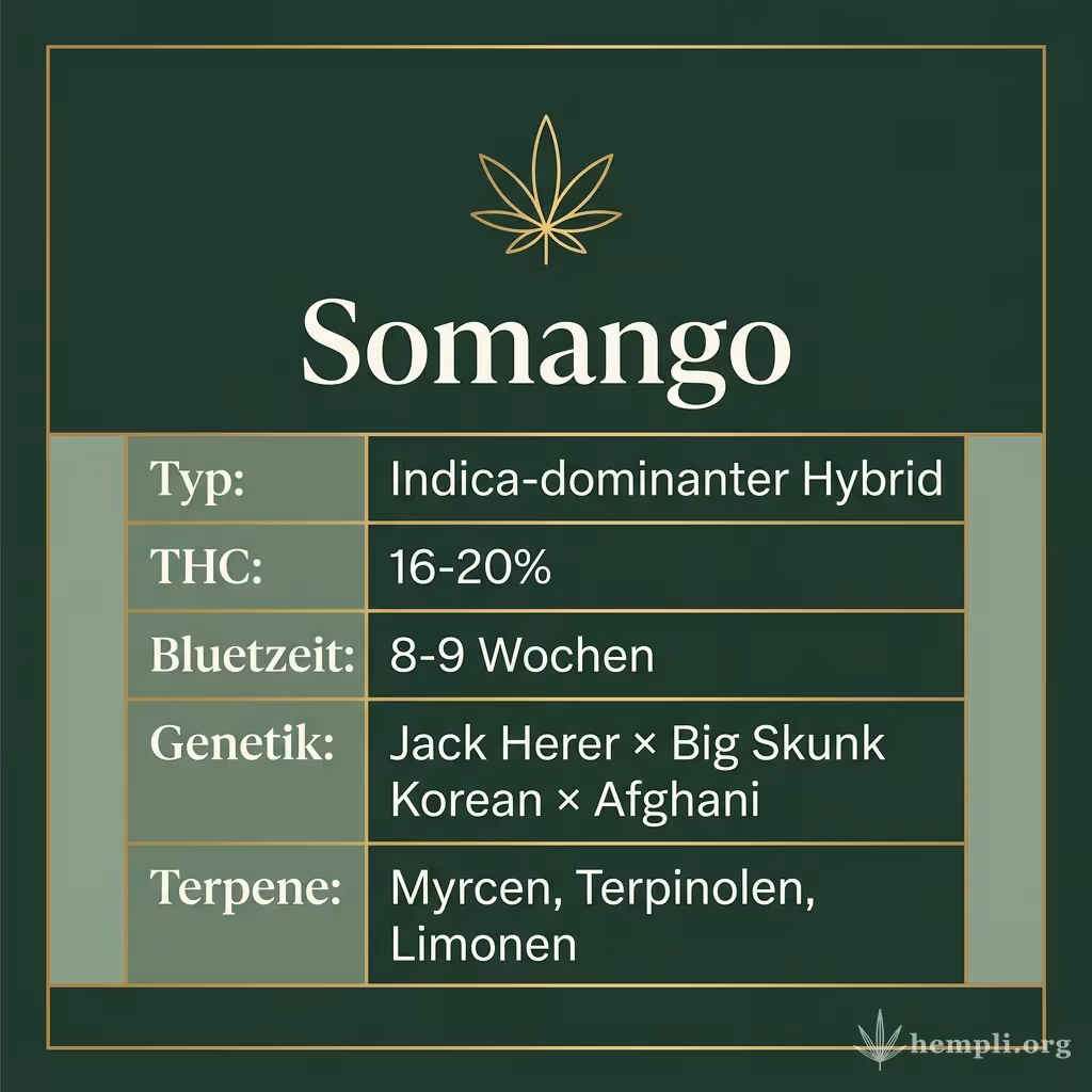 Infografik mit Somango Key Facts: Typ Indica-dominanter Hybrid, THC 16-20%, Bluetezeit 8-9 Wochen, Genetik Jack Herer × Big Skunk Korean × Afghani und Terpene Myrcen, Terpinolen, Limonen