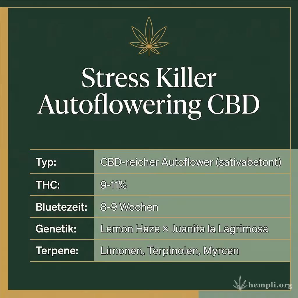 Infografik mit Stress Killer Autoflowering CBD Key Facts: Typ CBD-reicher Autoflower (sativabetont), THC 9-11%, Bluetezeit 8-9 Wochen, Genetik Lemon Haze × Juanita la Lagrimosa und Terpene Limonen, Terpinolen, Myrcen