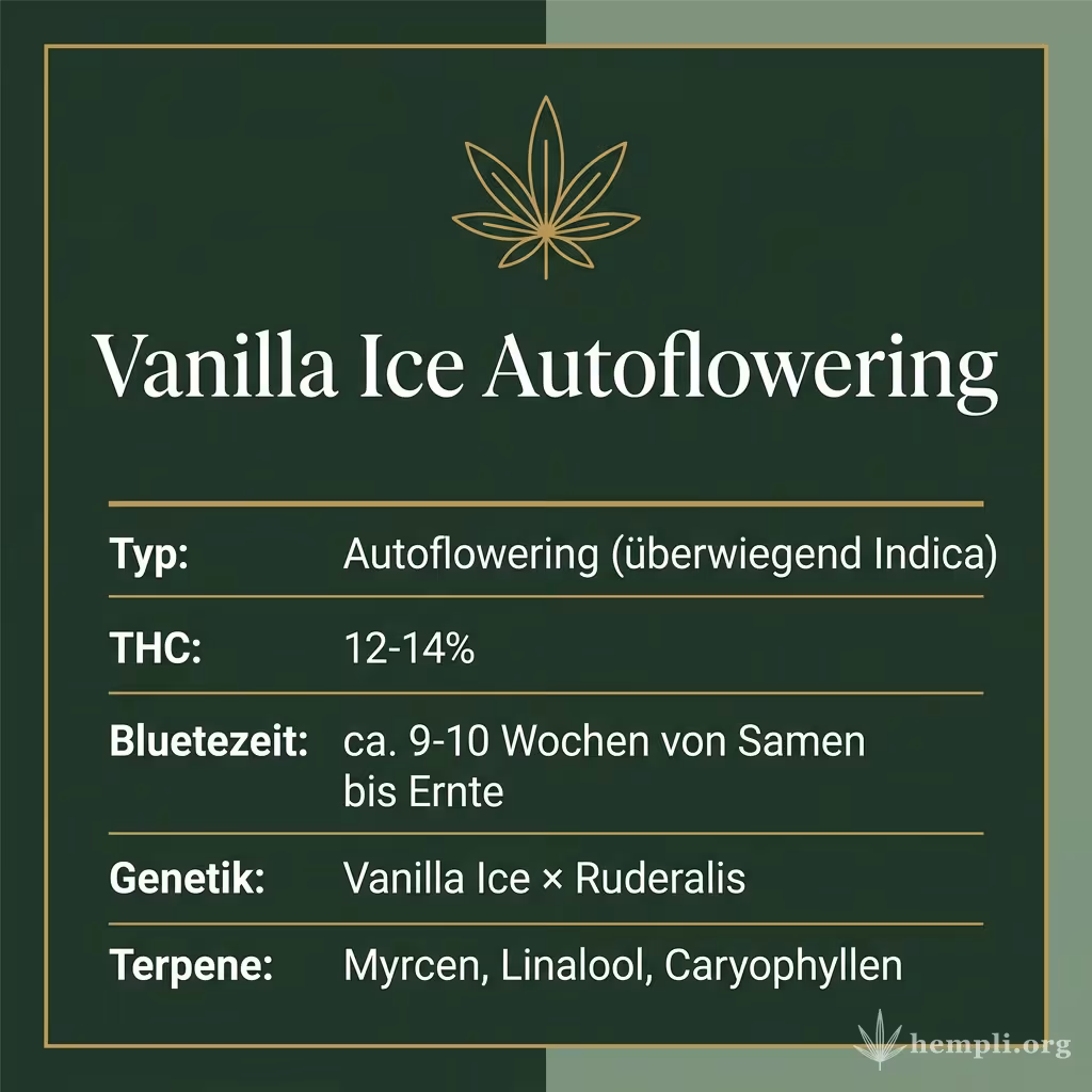 Infografik mit Vanilla Ice Autoflowering Key Facts: Typ Autoflowering (überwiegend Indica), THC 12-14%, Bluetezeit ca. 9-10 Wochen von Samen bis Ernte, Genetik Vanilla Ice × Ruderalis und Terpene Myrcen, Linalool, Caryophyllen